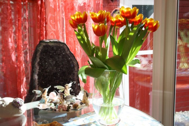 Sonnig.jpg