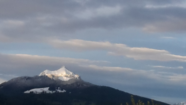 20200927_074209.jpg