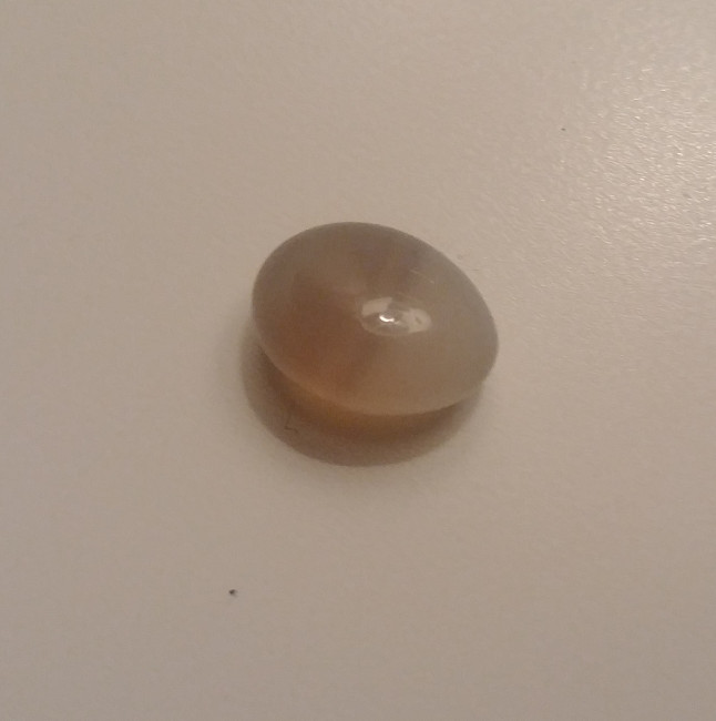20201216_172008-2.jpg