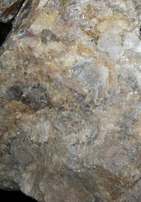 IMG_20210226_000011.jpg (533.73 KiB) 685 mal betrachtet Hier ein leichter Braunanteil