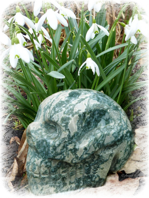 dendritenachatskull.jpg