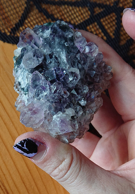Amethystschwimmer2.JPG