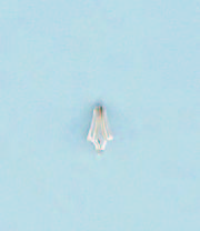silber-925-oese