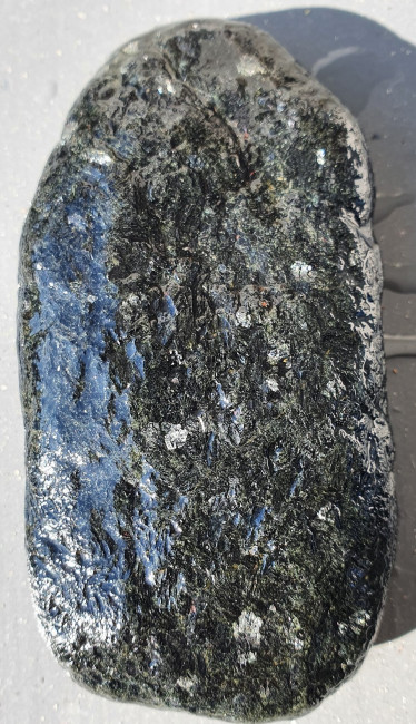 20210428_093343.jpg