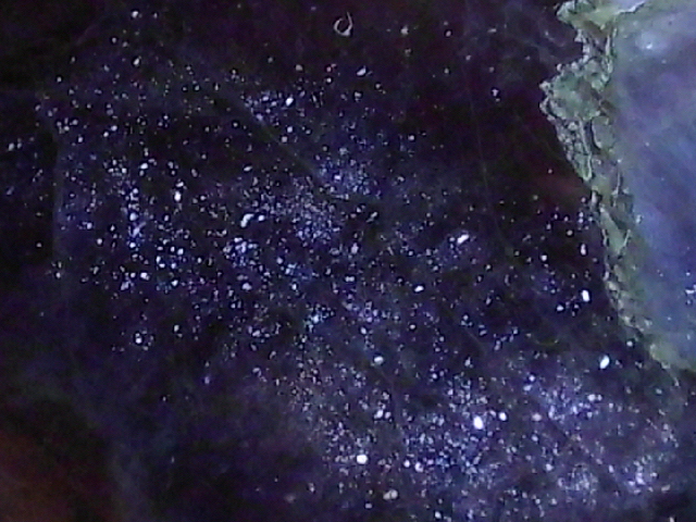 DSCI0852.JPG