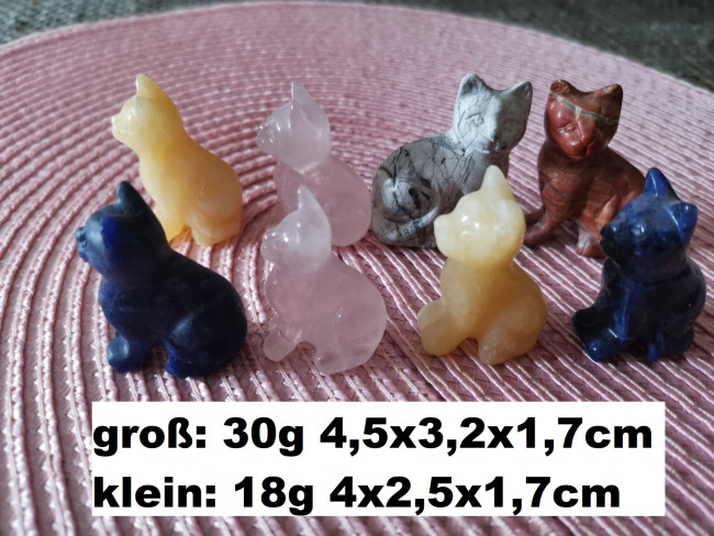 Katzen.jpg