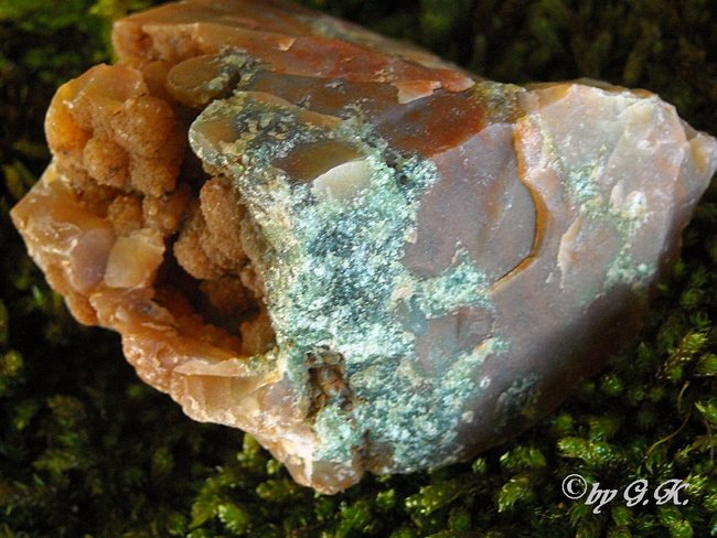 Chalcedon Braun