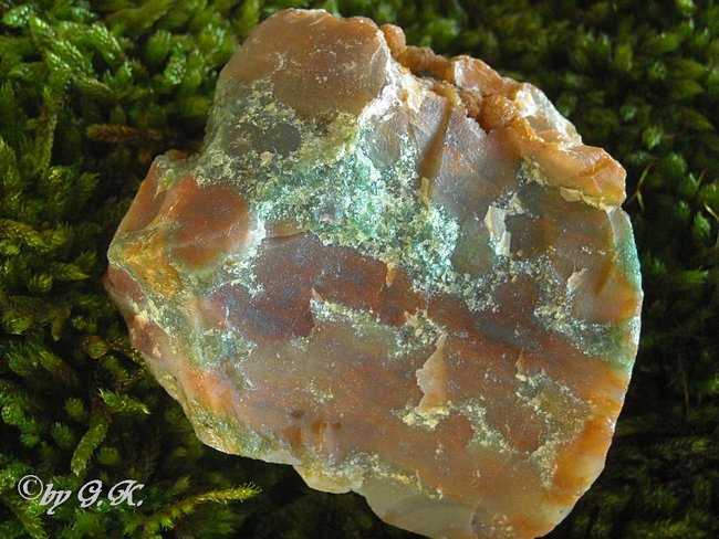 Chalcedon Braun