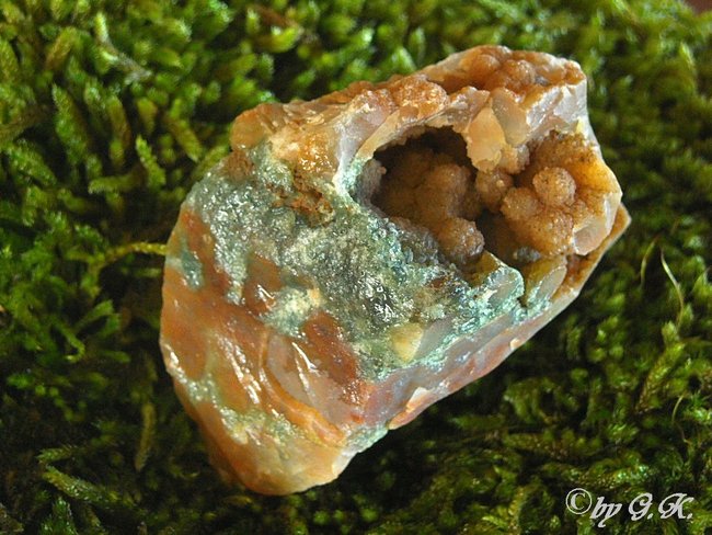 Chalcedon Braun 04 2380_1.jpg