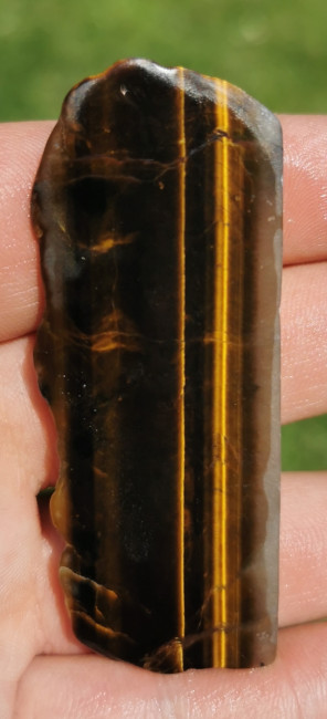 Tiegerauge 2