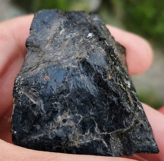 IMG_20210810_203103.jpg (349.24 KiB) 4628 mal betrachtet Das Stück hatte ich abgeschnitten, um hinein zu sehen