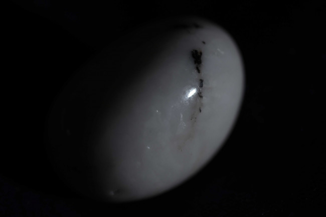 DSC_9402-1.JPG