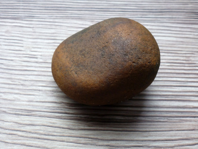 P1090546.JPG