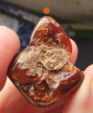 venom_feueropal_mark_210921.jpg