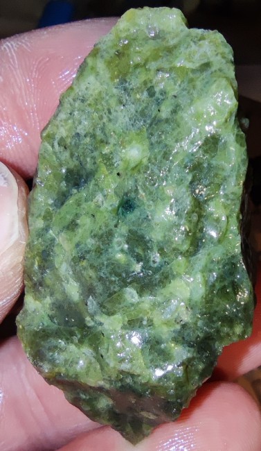 Roshtein