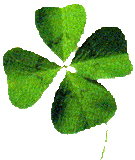 KLEEBLATT