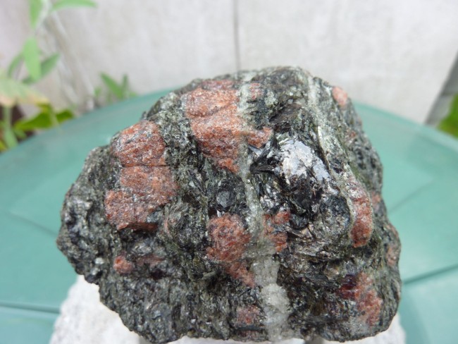 Almandin in Glimmerschiefer Granat Amphibolit2.JPG