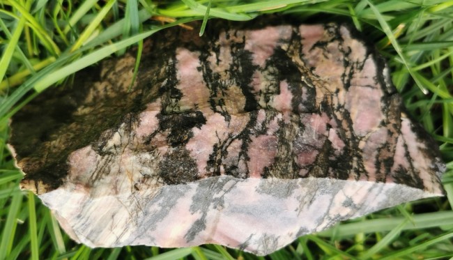 IMG_20220406_103725.jpg (616.75 KiB) 1065 mal betrachtet Die Anhänger stammen von diesem Stein