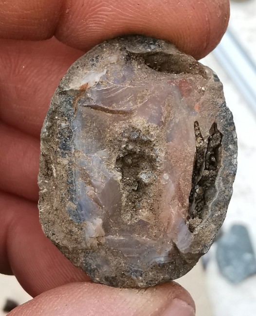 IMG_20220425_095037(2).jpg (380.54 KiB) 12231 mal betrachtet Noch ungewaschen. Wenn er fertig bearbeitet ist, zeige ich ihn hier noch mal.