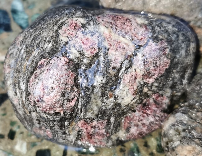 Die Granate in diesem Stein haben fast 3 cm im Durchmesser