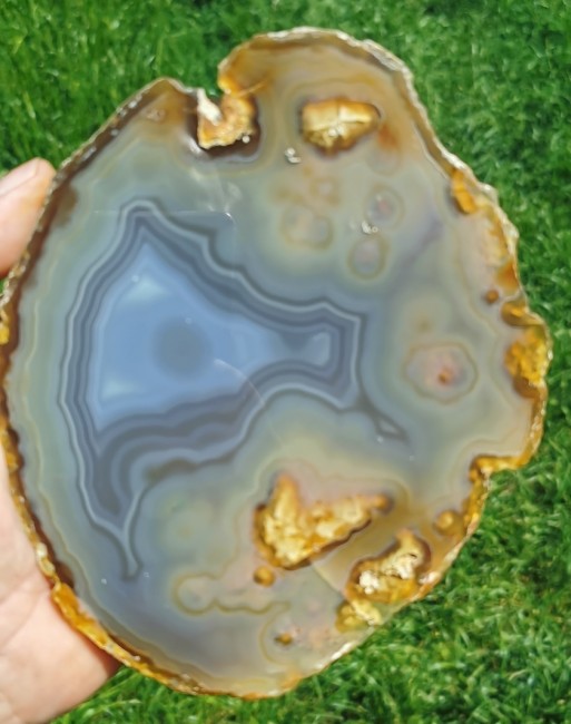 IMG_20220523_120706.jpg (511.44 KiB) 6725 mal betrachtet Leider kann ich sie nicht ganz ohne Spiegelungen fotografieren