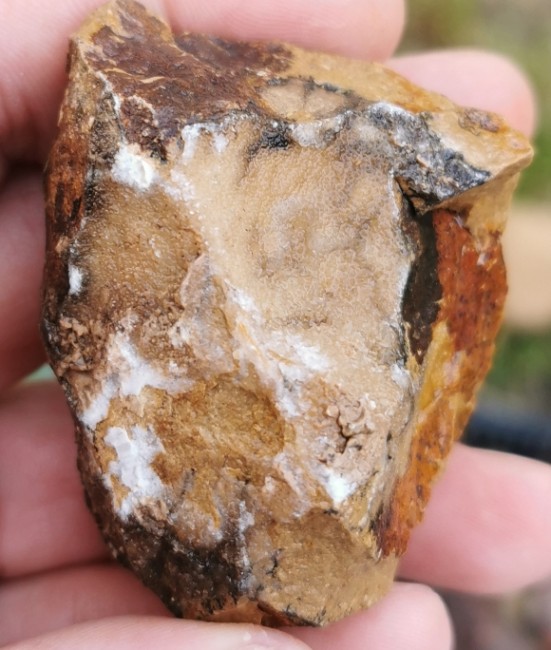 Septarie Stück mit Mineral
