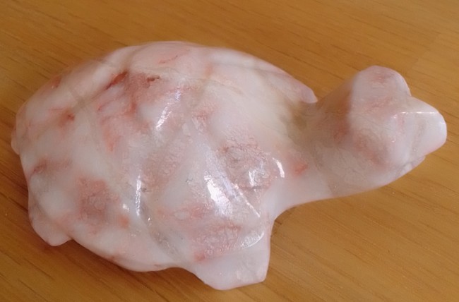 Schildkröte.jpg