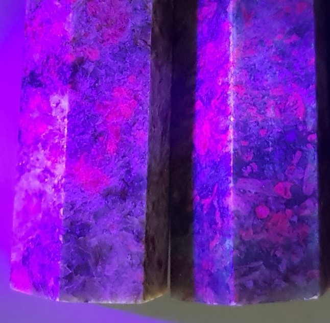 20220619_181956.jpg