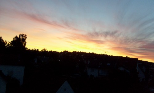 Bild