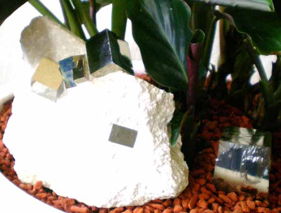 Bild