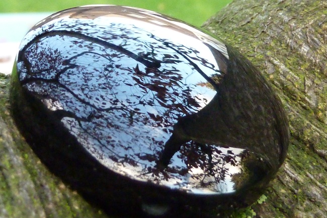 Obsidianscooping – FDOMF