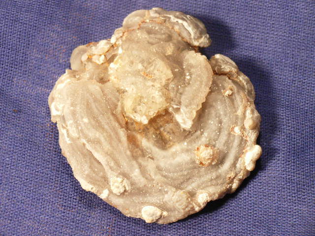 Aufgezeichnet 2005-2-27 00018.JPG
