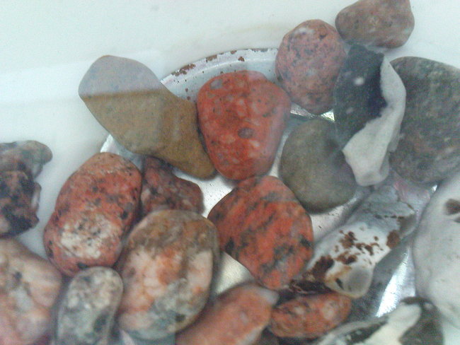 und das sind meine Ostsee-Steine : Heimische Steine, Mineralien Eigenfunde