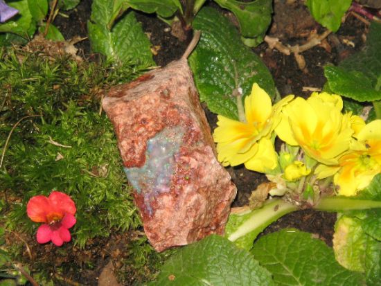 Bild