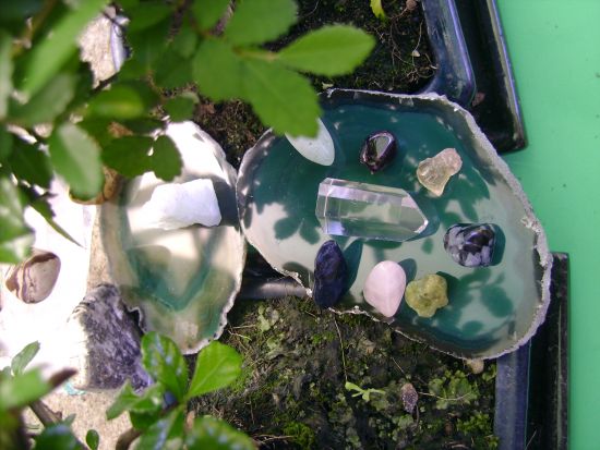 Bild