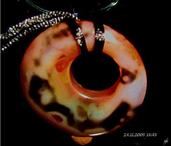 Bild