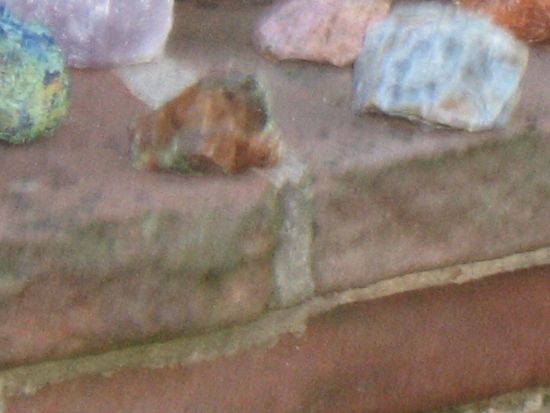 Bild