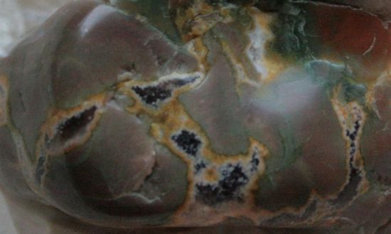 Bild