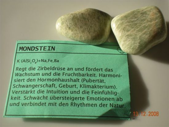 Bild